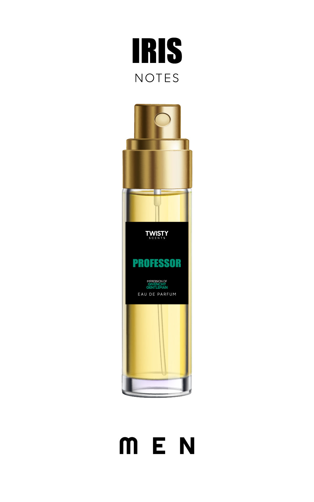 PROFESSOR - IMPRESSION OF GENTLEMAN