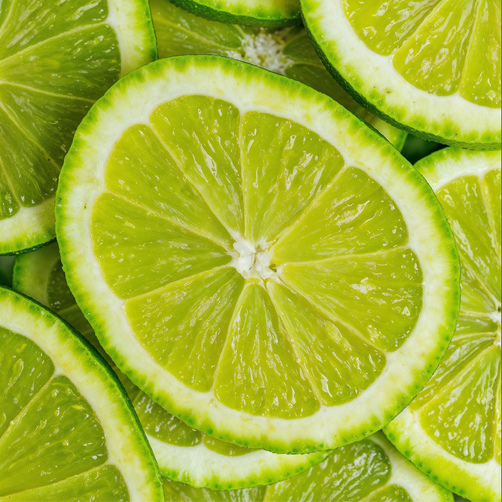 CITRUS PERFUMES