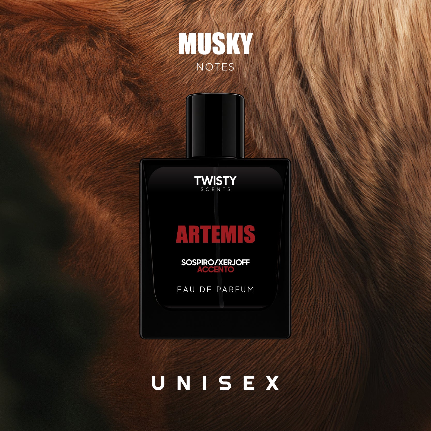 Artemis - Impression of Accento